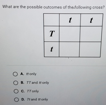 What are the possible outcomes of the following cross?
A. tt only
B. TT and tt only
C. 7T only
D. Tt and tt only