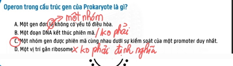 Operon trong cấu trúc gen của Prokaryote là gì?
A. Một gen đơn lẻ không có yếu tố điều hòa.
B. Một đoạn DNA kết thúc phiên mã.
C. Một nhóm gen được phiên mã cùng nhau dưới sự kiểm soát của một promoter duy nhất.
D. Một vị trí gắn ribosome