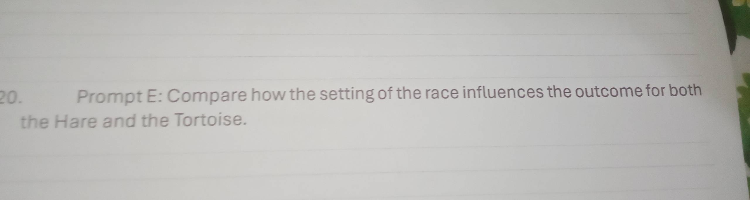 Prompt E: Compare how the setting of the race influences the outcome for both 
the Hare and the Tortoise.