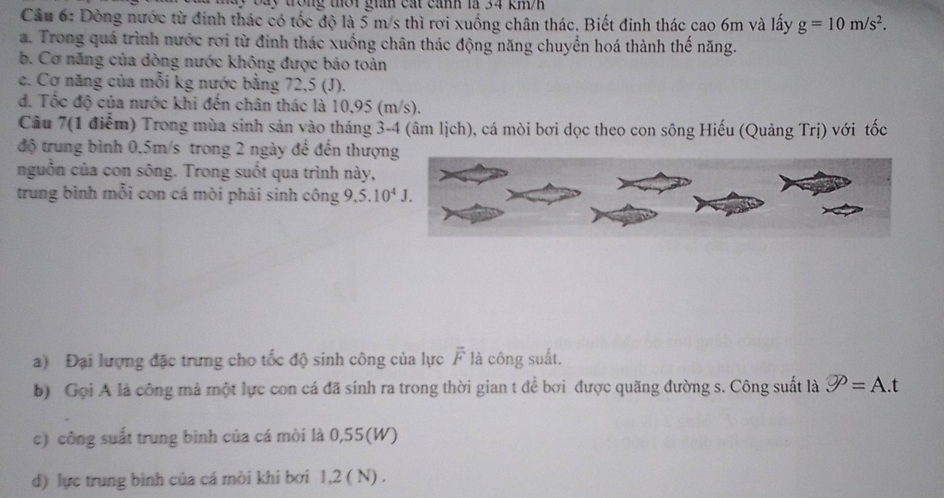 bay trong thời gián cát cảnh là 34 km/h
Câu 6: Dòng nước từ đinh thác có tốc độ là 5 m/s thì rơi xuống chân thác. Biết đinh thác cao 6m và lấy g=10m/s^2. 
a. Trong quá trình nước rơi từ đinh thác xuống chân thác động năng chuyển hoá thành thế năng.
b. Cơ năng của dòng nước không được bảo toàn
c. Cơ năng của mỗi kg nước bằng 72,5 (J).
d. Tốc độ của nước khi đến chân thác là 10,95 (m/s).
Câu 7(1 điểm) Trong mùa sinh sản vào tháng 3-4 (âm lịch), cá mòi bơi dọc theo con sông Hiếu (Quảng Trị) với tốc
độ trung bình 0,5m/s trong 2 ngày để đến thượn
nguồn của con sông. Trong suốt qua trình này,
trung bình mỗi con cá mòi phải sinh công 9, 5.10^4J. 
a) Đại lượng đặc trưng cho tốc độ sinh công của lực vector F là công suất.
b) Gọi A là công mả một lực con cá đã sinh ra trong thời gian t để bơi được quãng đường s. Công suất là varnothing P=A. 
c) công suất trung bình của cá mòi là 0,55(W)
d) lực trung bình của cá mòi khi bơi 1,2 ( N).