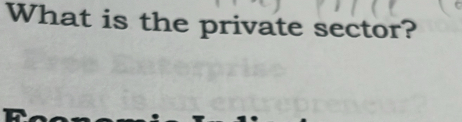 What is the private sector?