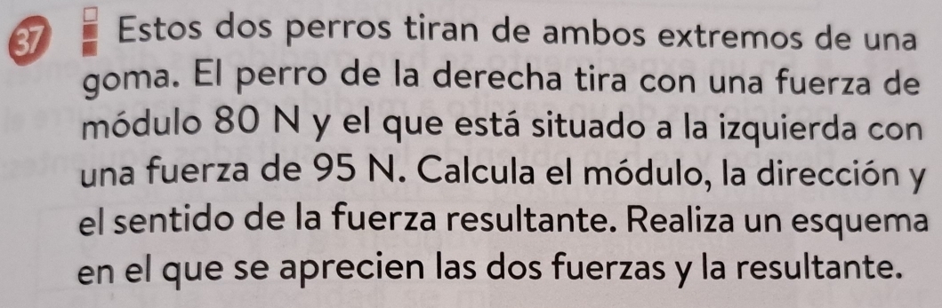 Estos dos perros tiran de ambos extremos de una 
goma. El perro de la derecha tira con una fuerza de 
módulo 80 N y el que está situado a la izquierda con 
una fuerza de 95 N. Calcula el módulo, la dirección y 
el sentido de la fuerza resultante. Realiza un esquema 
en el que se aprecien las dos fuerzas y la resultante.