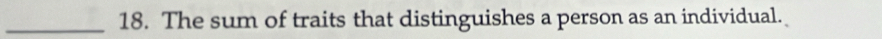 The sum of traits that distinguishes a person as an individual.