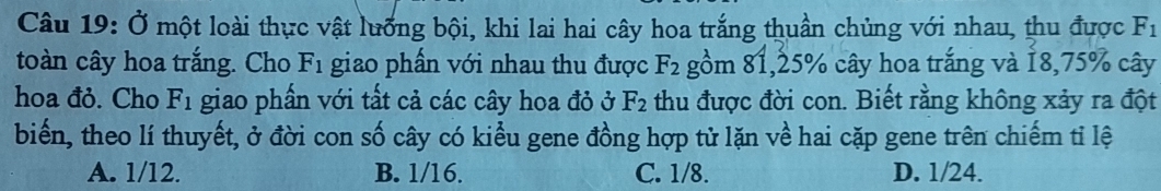 Ở một loài thực vật lưỡng bội, khi lai hai cây hoa trắng thuần chủng với nhau, thu được F_1
toàn cây hoa trắng. Cho F_1 giao phần với nhau thu được F_2 gồm 81, 25% cây hoa trắng và 18,75% cây
hoa đỏ. Cho F_1 giao phần với tất cả các cây hoa đỏ ở F_2 thu được đời con. Biết rằng không xảy ra đột
biển, theo lí thuyết, ở đời con số cây có kiểu gene đồng hợp tử lặn về hai cặp gene trên chiếm tỉ lệ
A. 1/12. B. 1/16. C. 1/8. D. 1/24.