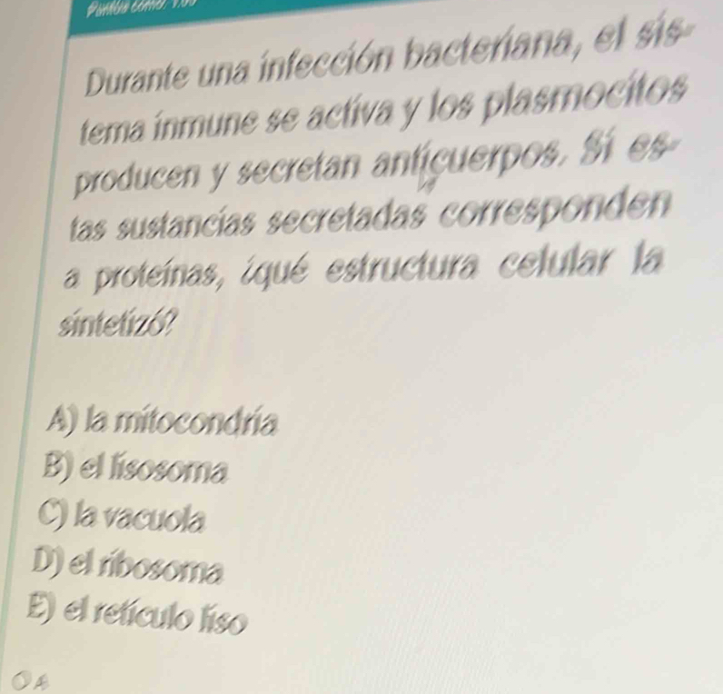 promén comor 'n o
Durante una infección bacteriana, el sis
tema ínmune se activa y los plasmocitos
producen y secretan antícuerpos. Sí es
tas sustancías secretadas corresponden
a proteínas, iqué estructura celular la
sintetizó?
A) la mitocondría
B) el lisosoma
C) la vacuola
D) el ribosoma
E) el retículo líso
A