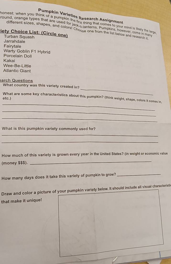 Pumpkin Varieties Research Assignment 
monest: when you think of a pumpkin the first thing that comes to your mind is likely the large 
round, orange types that are used for jack-o-lanterns. Pumpkins, however, come in many 
different sizes, shapes, and colors! Choose one from the list below and research it 
viety Choice List: (Circle one) 
Turban Squash 
Jarrahdale 
Fairytale 
Warty Goblin F1 Hybrid 
Porcelain Doll 
Kakai 
Wee-Be-Little 
Atlantic Giant 
earch Questions 
_ 
What country was this variety created in? 
What are some key characteristics about this pumpkin? (think weight, shape, colors it comes in, 
etc.) 
_ 
_ 
_ 
What is this pumpkin variety commonly used for? 
_ 
_ 
How much of this variety is grown every year in the United States? (in weight or economic value 
(money $$$). 
_ 
How many days does it take this variety of pumpkin to grow?_ 
Draw and color a picture of your pumpkin variety below. It should include all visual characteristic 
that make it unique!