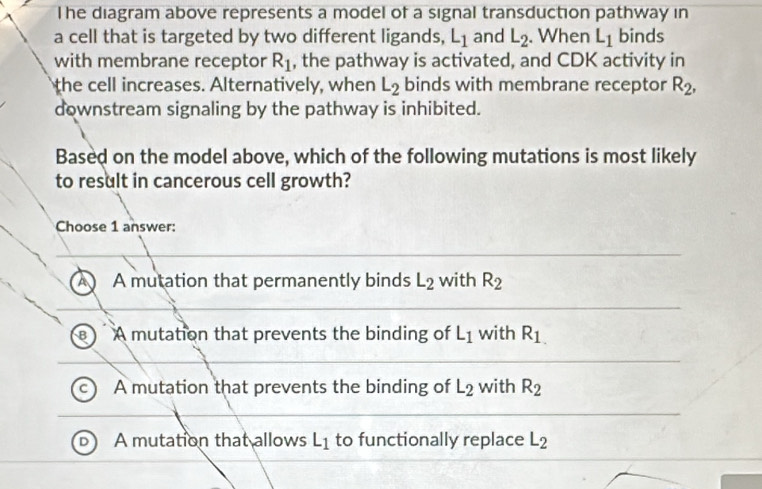 The diagram above represents a model of a signal transduction pathway in
a cell that is targeted by two different ligands, L_1 and L_2. When L_1 binds
with membrane receptor R_1 , the pathway is activated, and CDK activity in
the cell increases. Alternatively, when L_2 binds with membrane receptor R_2, 
downstream signaling by the pathway is inhibited.
Based on the model above, which of the following mutations is most likely
to result in cancerous cell growth?
Choose 1 answer:
A A mutation that permanently binds L_2 with R_2
A mutation that prevents the binding of L_1 with R_1.
c A mutation that prevents the binding of L_2 with R_2
D A mutation that allows L_1 to functionally replace L_2