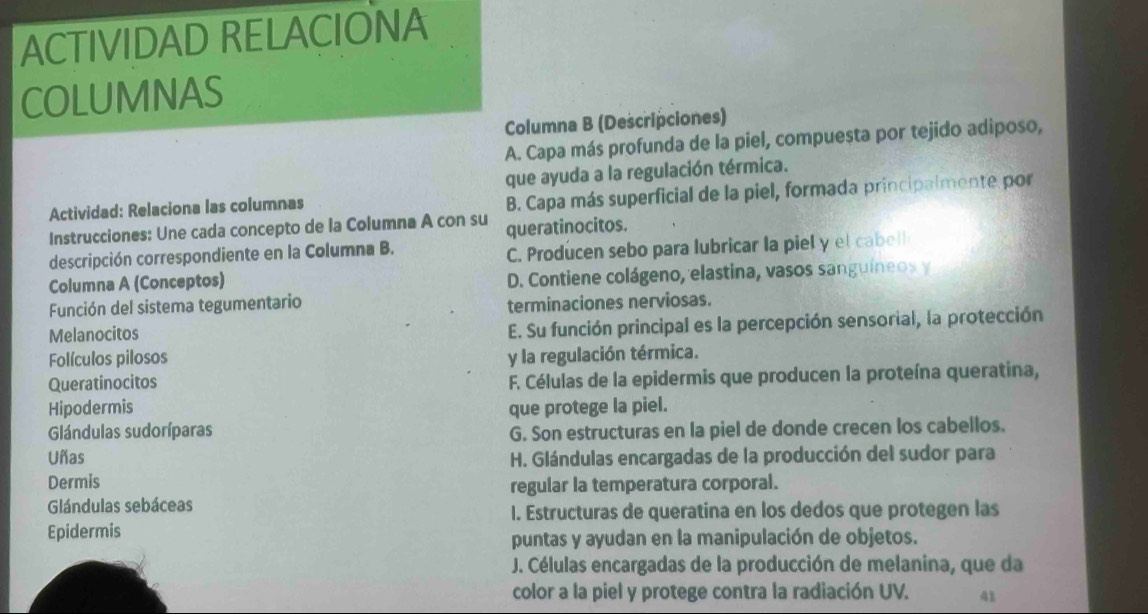 ACTIVIDAD RELACIONA
COLUMNAS
Columna B (Descripciones)
A. Capa más profunda de la piel, compuesta por tejido adiposo,
que ayuda a la regulación térmica.
Actividad: Relaciona las columnas
B. Capa más superficial de la piel, formada principalmente por
Instrucciones: Une cada concepto de la Columna A con su queratinocitos.
descripción correspondiente en la Columna B.
C. Producen sebo para lubricar la piel y el cabell
Columna A (Conceptos) D. Contiene colágeno, elastina, vasos sanguíneos y
Función del sistema tegumentario
terminaciones nerviosas.
Melanocitos
E. Su función principal es la percepción sensorial, la protección
Folículos pilosos y la regulación térmica.
Queratinocitos F. Células de la epidermis que producen la proteína queratina,
Hipodermis que protege la piel.
Glándulas sudoríparas G. Son estructuras en la piel de donde crecen los cabellos.
Uñas H. Glándulas encargadas de la producción del sudor para
Dermis
regular la temperatura corporal.
Glándulas sebáceas
I. Estructuras de queratina en los dedos que protegen las
Epidermis
puntas y ayudan en la manipulación de objetos.
J. Células encargadas de la producción de melanina, que da
color a la piel y protege contra la radiación UV. 41