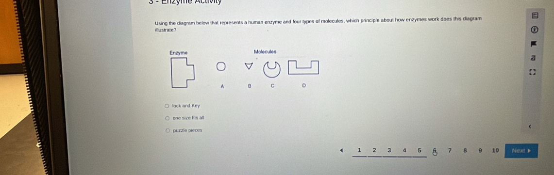 Enzyme Activity 
Using the diagram below that represents a human enzyme and four types of molecules, which principle about how enzymes work does this diagram 
illustrate? 
Molecules 
A B C 。 
lock and Key 
one size fits all 
puzzle pieces
1 2 3 A 5 5 7 8 9 10 Next》