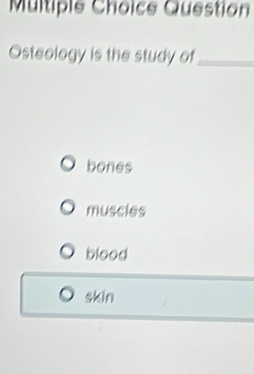 Multipie Choice Question
Osteology is the study of_
bones
muscles
blood
skin