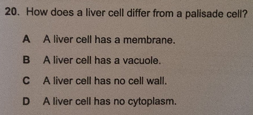 How does a liver cell differ from a palisade cell?
A A liver cell has a membrane.
B A liver cell has a vacuole.
C A liver cell has no cell wall.
D A liver cell has no cytoplasm.