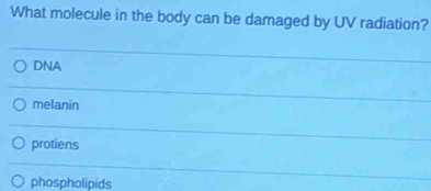 What molecule in the body can be damaged by UV radiation?
DNA
melanin
protiens
phospholipids