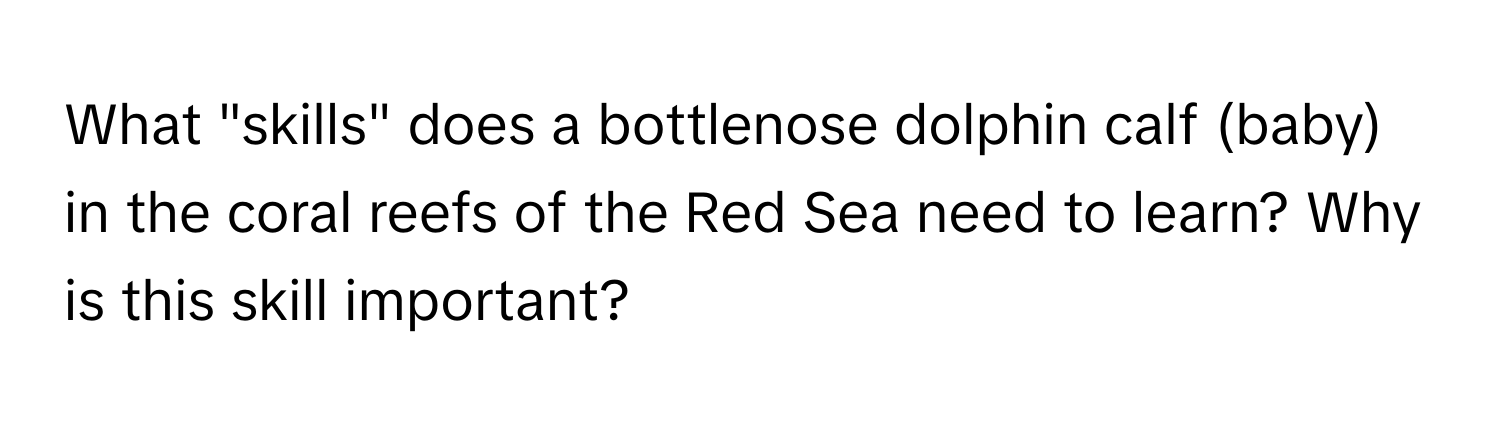 What "skills" does a bottlenose dolphin calf (baby) in the coral reefs of the Red Sea need to learn? Why is this skill important?