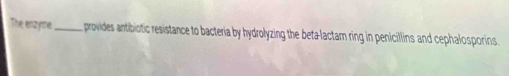 The enzyme _ provides antibiotic resistance to bacteria by hydrolyzing the beta-lactam ring in penicillins and cephalosporins