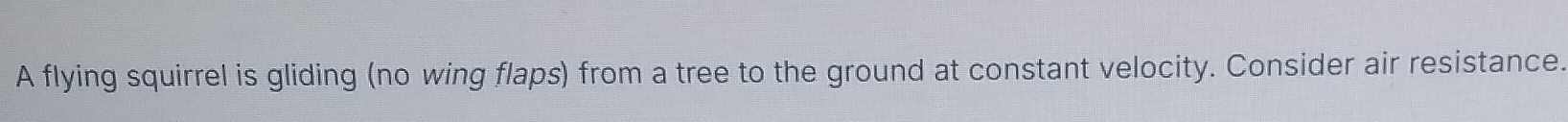 A flying squirrel is gliding (no wing flaps) from a tree to the ground at constant velocity. Consider air resistance.