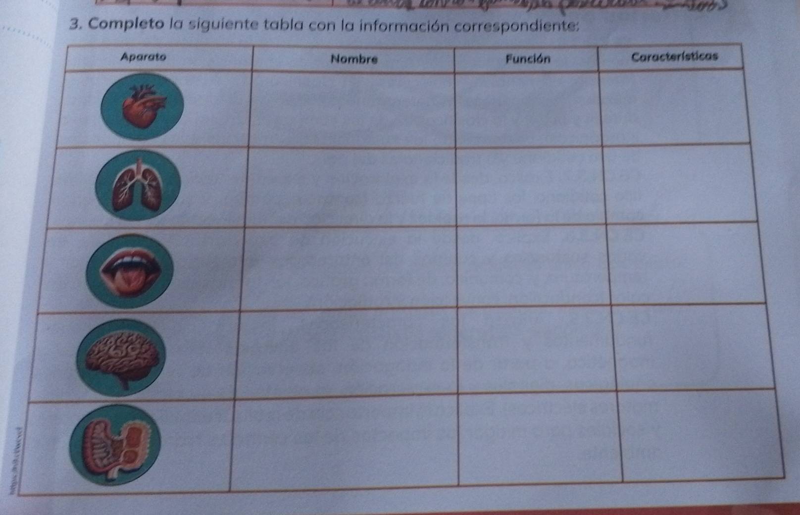 Completo la siguiente tabla con la informació