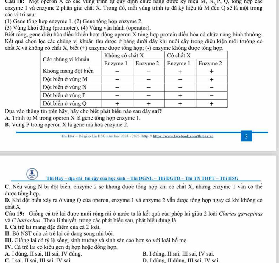 Cau 18: Một operon X có các vùng trình tự quy định chức năng được ky hiệu M, N, P, Q, tổng hợp các
enzyme 1 và enzyme 2 phân giải chất X. Trong đó, mỗi vùng trình tự đã ký hiệu từ M đến Q sẽ là một trong
các vị trí sau:
(1) Gene tổng hợp enzyme 1. (2) Gene tổng hợp enzyme 2.
(3) Vùng khởi động (promoter). (4) Vùng vận hành (operator).
Biết rằng, gene điều hòa điều khiển hoạt động operon X tổng hợp protein điều hòa có chức năng bình thường.
Kết quả chọn lọc các chủng vị khuẩn thu được ở bảng dưới đây khi nuôi cấy trong điều kiện môi trường có
chất X và không có chất X, biết (+) enzyme được tổng hợp; (-) enzyme không được tổng hợp.
Dựa vào thông tin trên hãy, hãy cho biết phát biểu nào sau đây sai?
A. Trình tự M trong operon X là gene tổng hợp enzyme 1.
B. Vùng P trong operon X là gene mã hóa enzyme 2.
Thi Hay — Đề giao lưu HSG năm học 2024 - 2025 http:// https://www.facebook.com/thihay.vn 3
* Thi Hay - địa chỉ tin cậy của học sinh - Thi ĐGNL - Thí ĐGTD - Thi TN THPT - Thi HSG
C. Nếu vùng N bị đột biển, enzyme 2 sẽ không được tổng hợp khi có chất X, nhưng enzyme 1 vẫn có thể
được tổng hợp.
D. Khi đột biển xảy ra ở vùng Q của operon, enzyme 1 và enzyme 2 vẫn được tổng hợp ngay cả khi không có
chất X.
Câu 19: Giống cá trê lai được nuôi rộng rãi ở nước ta là kết quả của phép lai giữa 2 loài Clarias gariepinus
và C.batrachus. Theo lí thuyết, trong các phát biểu sau, phát biểu đúng là
I. Cá trê lai mang đặc điểm của cả 2 loài.
II. Bộ NST của cá trê lại có dạng song nhị bội.
III. Giống lai có tỷ lệ sống, sinh trưởng và sinh sản cao hơn so với loài bố mẹ.
IV. Cá trê lai có kiểu gen dị hợp hoặc đồng hợp.
A. I đúng, II sai, III sai, IV đúng. B. I đúng, II sai, III sai, IV sai.
C. I sai, II sai, III sai, IV sai. D. I đúng, II đúng, III sai, IV sai.