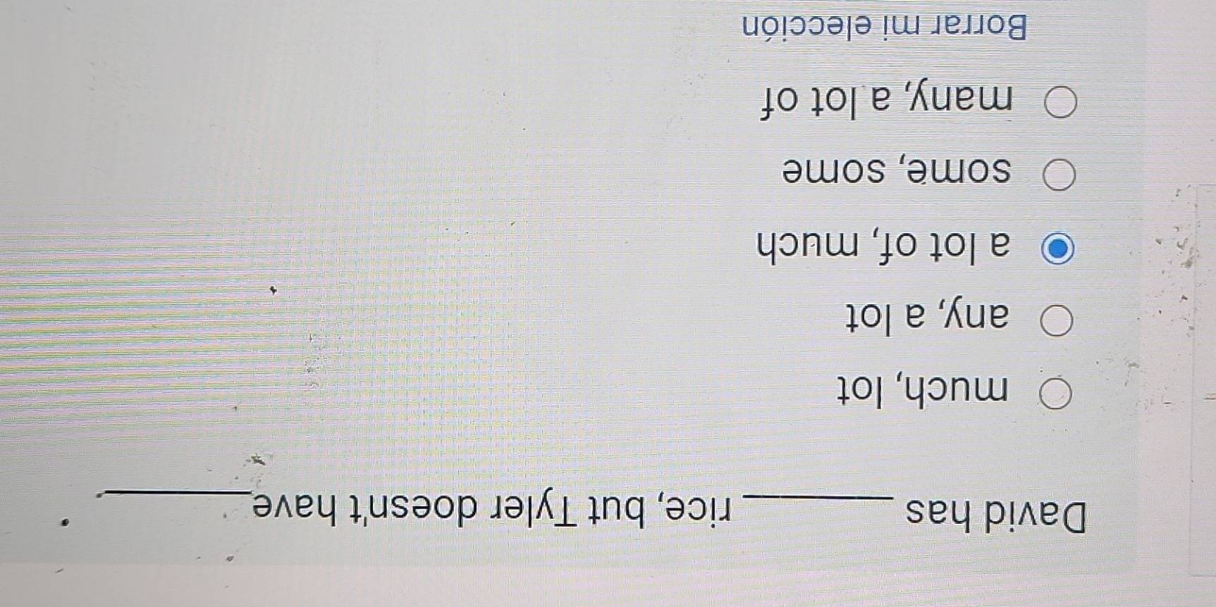 David has _rice, but Tyler doesn't have_
much, lot
any, a lot
a lot of, much
some, some
many, a lot of
Borrar mi elección