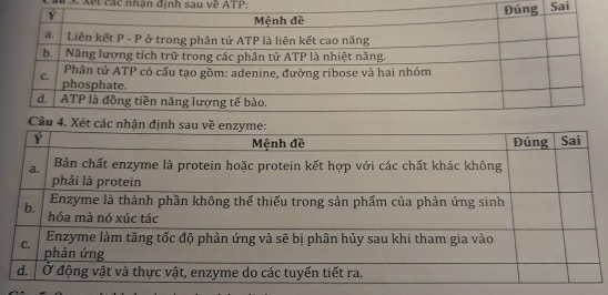 Xết các nhân đinh sau về T P
ai