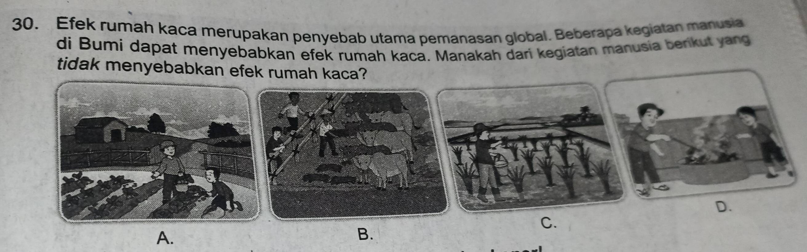 Efek rumah kaca merupakan penyebab utama pemanasan global. Beberapa kegiatan manusia
di Bumi dapat menyebabkan efek rumah kaca. Manakah dari kegiatan manusia berikut yang
tidak menyebabkan efek rumah kaca?
D.
C.
A.
B.