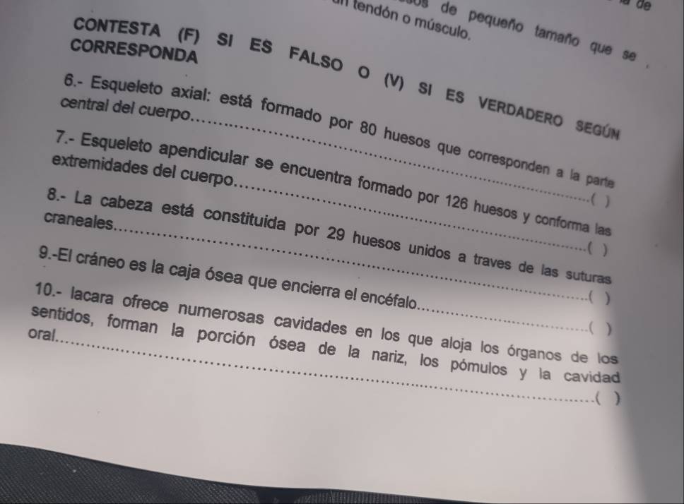 II tendón o músculo. 
Us de pequeño tamaño que se 
CORRESPONDA 
CONTESTA (F) SI ES FALSO O (V) SI ES VERDADERO SEGÚN 
central del cuerpo. 
6.- Esqueleto axial: está formado por 80 huesos que corresponden a la parta 
extremidades del cuerpo. 
7.- Esqueleto apendicular se encuentra formado por 126 huesos y conforma las 
 ) 
craneales 
8.- La cabeza está constituida por 29 huesos unidos a traves de las suturas 
( ) 
9.-El cráneo es la caja ósea que encierra el encéfalo 
.( ) 
10.- lacara ofrece numerosas cavidades en los que aloja los órganos de los 
oral. 
.( ) 
sentidos, forman la porción ósea de la nariz, los pómulos y la cavidad 
.( )