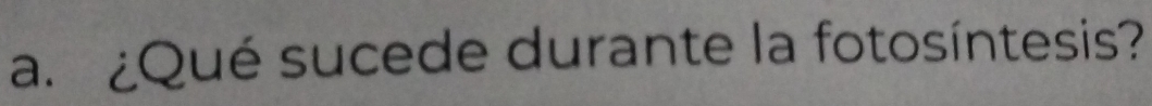 ¿Qué sucede durante la fotosíntesis?