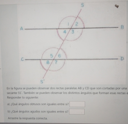 En la figura se pueden observar dos rectas paralelas AB y CD que son cortadas por una
secante SS´. También se pueden observar los distintos ángulos que forman esas rectas e
Responder lo siguiente:
a) ¿Qué ángulos obtusos son iguales entre si? □
b) ¿Qué ángulos agudos son iguales entre si? □
Arrastre la respuesta correcta.