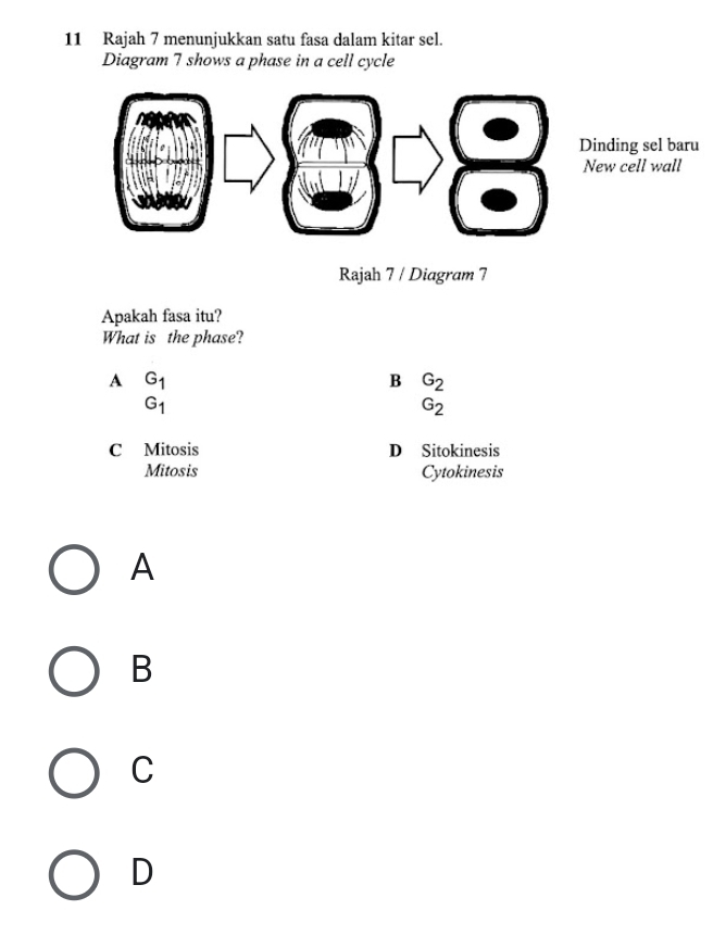 Rajah 7 menunjukkan satu fasa dalam kitar sel.
Diagram 7 shows a phase in a cell cycle
Rajah 7 / Diagram 7
Apakah fasa itu?
What is the phase?
A G_1
B G_2
G_1
G_2
C Mitosis D Sitokinesis
Mitosis Cytokinesis
A
B
C
D