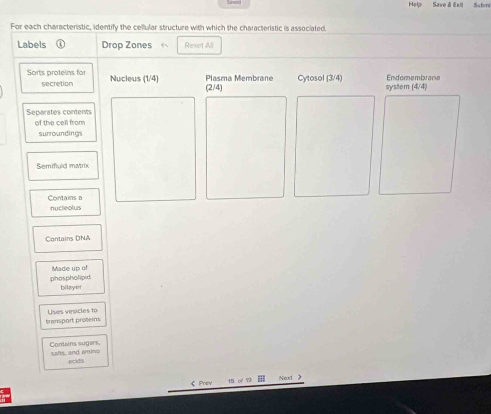 Sanea Help Save & Exit Subm 
For each characteristic, identify the cellular structure with which the characteristic is associated. 
Labels Drop Zones Reset All 
Sorts proteins for Nucleus (1/4) Plasma Membrane Cytosol (3/4) Endomembrane 
secretion (2/4) system (4/4)
Separates contents 
of the cell from 
surroundings 
Semifluld matrix 
Contains a 
nucleolus 
Contains DNA 
Made up of 
phospholipid 
bilayer 
Uses vesicles to 
transport proteins 
Contains sugars, 
salts, and amino 
acids 
《 Prev 15 of 19 Next >