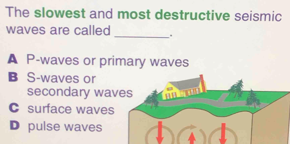 The slowest and most destructive seismic
waves are called
_.
A P-waves or primary waves
B S-waves or
secondary waves
C surface waves
D pulse waves