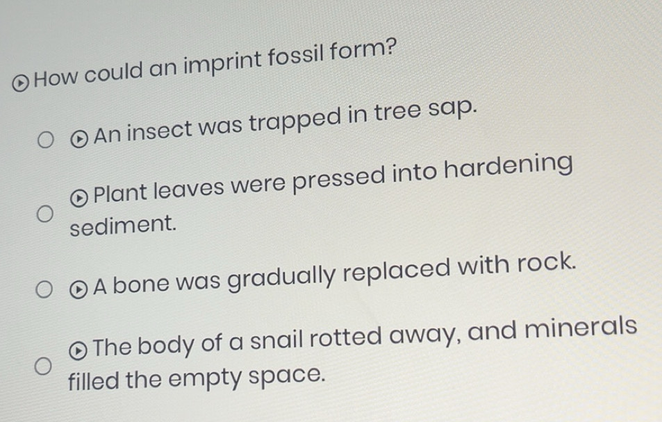 Solved: How could an imprint fossil form? An insect was trapped in tree ...
