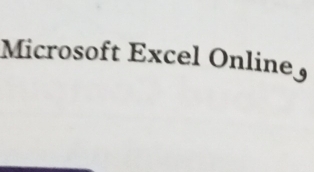 Microsoft Excel Online£