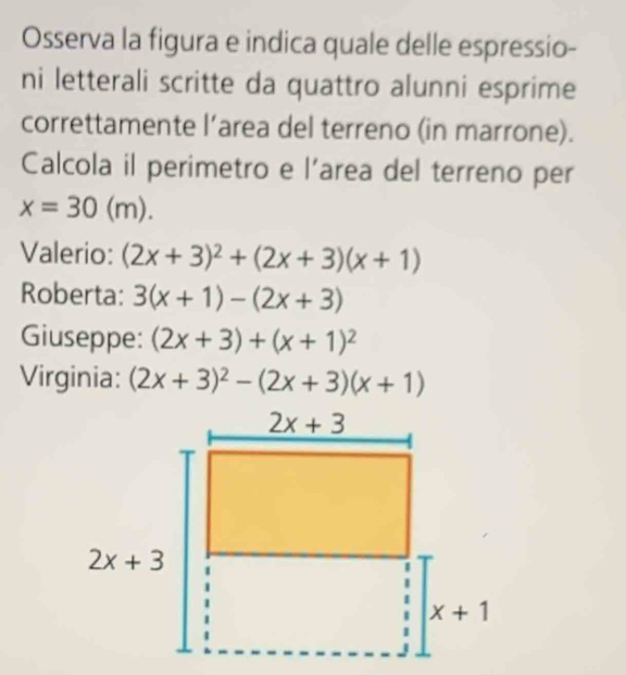 Osserva la figura e indica quale delle espressio-
ni letterali scritte da quattro alunni esprime
correttamente l’area del terreno (in marrone).
Calcola il perimetro e l’area del terreno per
x=30(m).
Valerio: (2x+3)^2+(2x+3)(x+1)
Roberta: 3(x+1)-(2x+3)
Giuseppe: (2x+3)+(x+1)^2
Virginia: (2x+3)^2-(2x+3)(x+1)