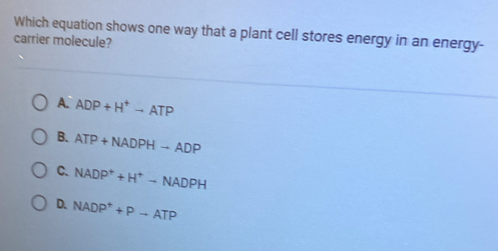 Which equation shows one way that a plant cell stores energy in an energy-
carrier molecule?
A. ADP+H^+to ATP
B. ATP+NADPHto ADP
C. NADP^++H^+to NADPH
D. NADP^++Pto ATP