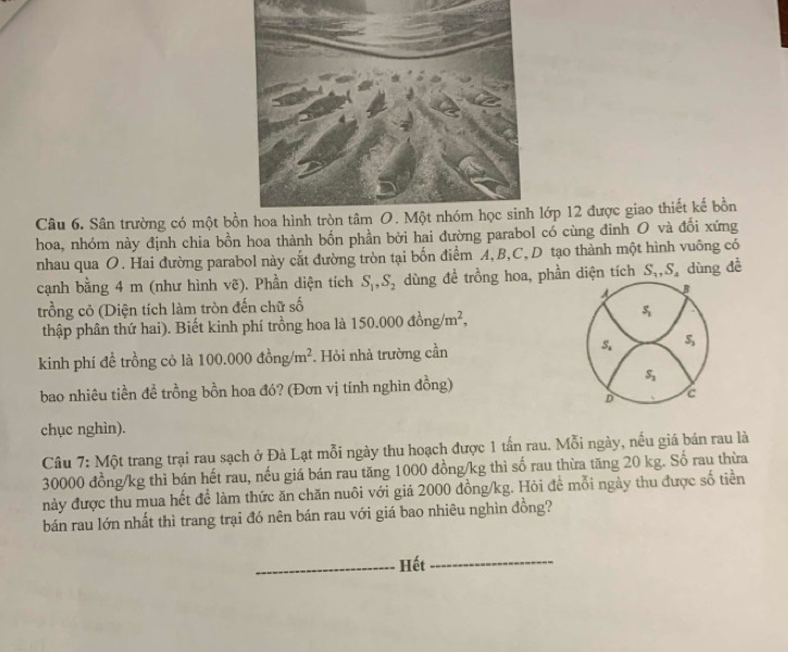 Sân trường có một bồlớp 12 được giao thiết kế bồn 
hoa, nhóm này định chia bồn hoa thành bốn phần bời hai đường parabol có cùng đinh O và đổi xứng 
nhau qua O. Hai đường parabol này cắt đường tròn tại bốn điểm A, B, C,D tạo thành một hình vuông có 
cạnh bằng 4 m (như hình vẽ). Phần diện tích S_1, S_2 dùng đề trồng hoa, phần diện tích S_1, S_4 dùng dề 
B 
trồng cỏ (Diện tích làm tròn đến chữ số 
thập phân thứ hai). Biết kinh phí trồng hoa là 150.000dong/m^2,
S_1
kinh phí đề trồng cỏ là 100.000dong/m^2 Hỏi nhà trường cần S_a S_3
bao nhiêu tiền để trồng bồn hoa đó? (Đơn vị tính nghìn đồng)
S_3
D c 
chục nghìn). 
Câu 7: Một trang trại rau sạch ở Đà Lạt mỗi ngày thu hoạch được 1 tấn rau. Mỗi ngày, nều giá bán rau là
30000 đồng /kg thì bán hết rau, nếu giá bán rau tăng 1000 đồng /kg thì số rau thừa tăng 20 kg. Số rau thừa 
này được thu mua hết để làm thức ăn chăn nuôi với giá 2000 đồng /kg. Hỏi đề mỗi ngày thu được số tiền 
bán rau lớn nhất thì trang trại đó nên bán rau với giá bao nhiêu nghìn đồng? 
Hết