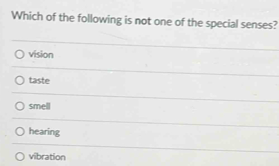 Which of the following is not one of the special senses?
vision
taste
smell
hearing
vibration