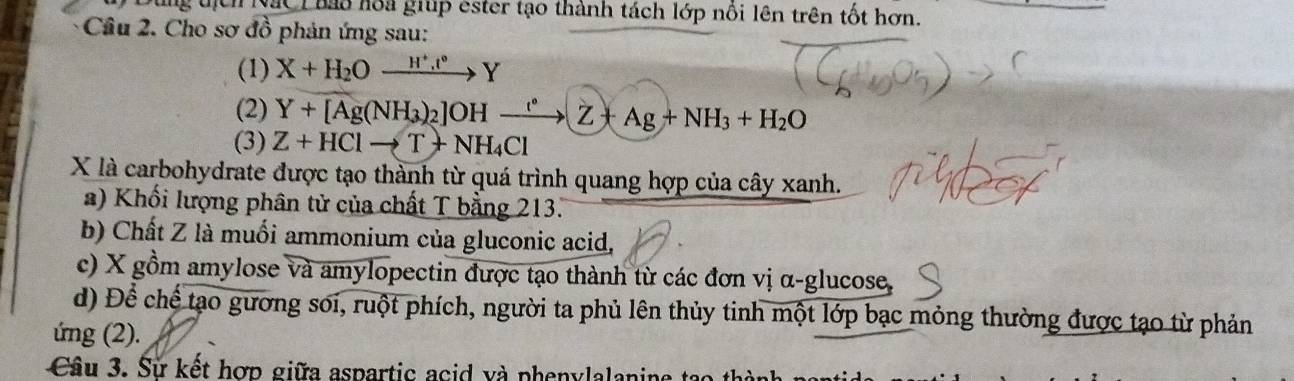 ng tịch Nắc L hảo hoa giup ester tạo thành tách lớp nôi lên trên tốt hơn. 
Câu 2. Cho sơ đồ phản ứng sau: 
(1) X+H_2Oxrightarrow H^+.t°Y
(2) Y+[Ag(NH_3)_2]OHxrightarrow []Z+Ag+NH_3+H_2O
(3) Z+HClto T+NH_4Cl
X là carbohydrate được tạo thành từ quá trình quang hợp của cây xanh. 
a) Khối lượng phân tử của chất T bằng 213. 
b) Chất Z là muối ammonium của gluconic acid, 
c) X gồm amylose và amylopectin được tạo thành từ các đơn vị α-glucose, 
d) Để chế tạo gương soi, ruột phích, người ta phủ lên thủy tinh một lớp bạc mỏng thường được tạo từ phản 
ứng (2). 
Câu 3. Sử kết hợp giữa aspartic acid và phenylalanine t