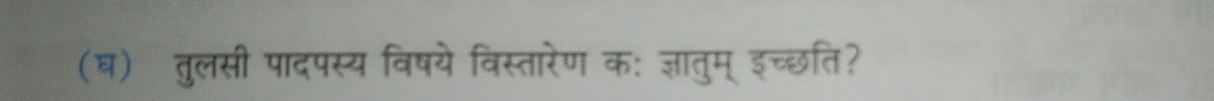 (घ) तुलसी पादपस्य विषये विस्तारेण क: ज्ञातुम् इच्छति?