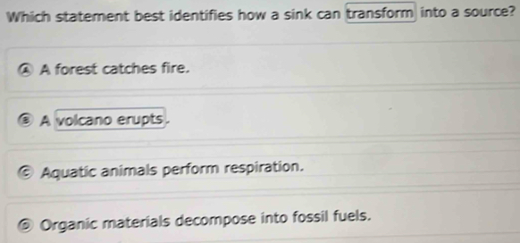 Which statement best identifies how a sink can transform into a source?
A forest catches fire.
A volcano erupts.
Aquatic animals perform respiration.
Organic materials decompose into fossil fuels.