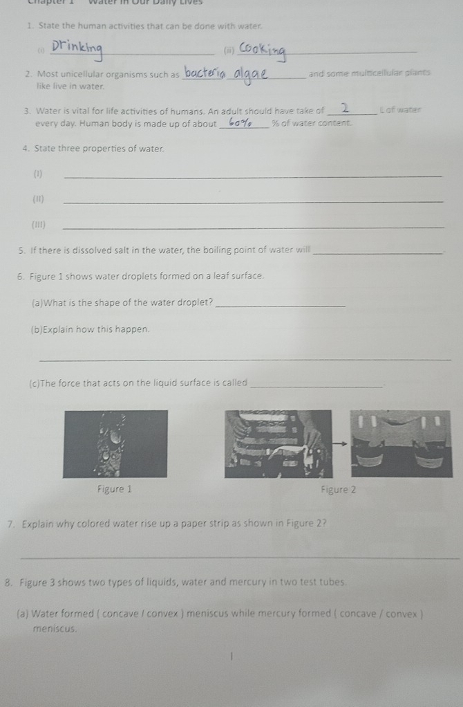 water mOur Dany Lives 
1. State the human activities that can be done with water. 
(i) _(ii)_ 
_ 
_ 
2. Most unicellular organisms such as and some multicellular plants 
like live in water. 
_ 
3. Water is vital for life activities of humans. An adult should have take of L of water 
_ 
every day. Human body is made up of about % of water content. 
4. State three properties of water. 
(1) 
_ 
(11) 
_ 
(II1) 
_ 
5. If there is dissolved salt in the water, the boiling point of water will_ 
6. Figure 1 shows water droplets formed on a leaf surface. 
(a)What is the shape of the water droplet?_ 
(b)Explain how this happen. 
_ 
(c)The force that acts on the liquid surface is called_ 
Figure 1 Figure 2 
7. Explain why colored water rise up a paper strip as shown in Figure 2? 
_ 
8. Figure 3 shows two types of liquids, water and mercury in two test tubes. 
(a) Water formed ( concave / convex ) meniscus while mercury formed ( concave / convex ) 
meniscus.