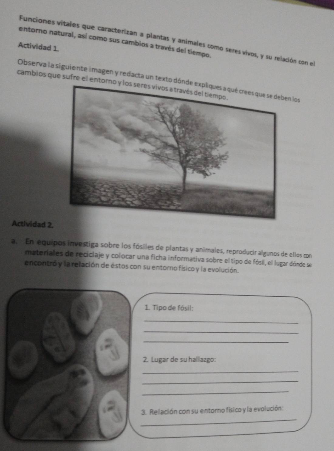 Funciones vitales que caracterizan a plantas y animales como seres vivos, y su relación con el 
entorno natural, así como sus cambios a través del tiempo. 
Actividad 1. 
Observa la siguiente imagen y redacta un texto dónde expliques a qué crees que se deben los 
cambios que sufre el entor 
Actividad 2. 
a. En equipos investiga sobre los fósiles de plantas y animales, reproducír algunos de ellos con 
materiales de reciclaje y colocar una ficha informativa sobre el tipo de fósil, el lugar dónde se 
encontró y la relación de éstos con su entorno físico y la evolución. 
1. Tipo de fósil: 
_ 
_ 
_ 
2. Lugar de su hallazgo: 
_ 
_ 
_ 
3. Relación con su entorno físico y la evolución: 
_