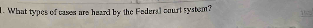 What types of cases are heard by the Federal court system?