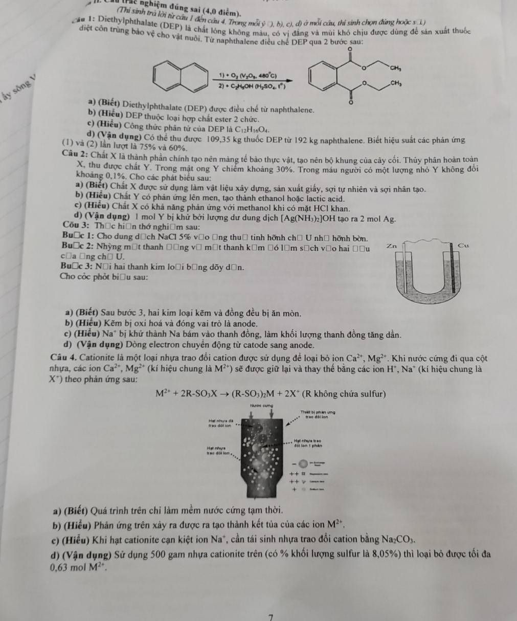 [ Ch (Mế nghiệm đúng sai (4,0 điểm).
(Thi sinh trà lời từ cầu 1 đến cầu 4. Trong mỗi y(),b),c),d) ở mỗi câu, thí sinh chọn đứng hoặc sớ)
T ầu 1: Diethylphthalate (DEP) là chất lóng không ma ng và mùi khỏ chịu được dùng đề sản xuất thuốc
diệt côn trùng bảo vệ cho vật nuôi. Từ naphthalene điều chế DEP qua 2 bước sau:
1)+O_2(V_2O_3 480℃)
ấy sông
2)+C_2H_5OH(H_2SO_4,l°)
a) (Biết) Diethylphthalate (DEP) được điều chế từ naphthalene.
b) (Hiểu) DEP thuộc loại hợp chất ester 2 chức.
c) (Hiểu) Công thức phân tử của DEP là C_12H_16O_4.
d) (Vận dụng) Có thể thu được 109,35 kg thuốc DEP từ 192 kg naphthalene. Biết hiệu suất các phản ứng
(1) và (2) lần lượt là 75% và 60%.
Câu 2: Chất X là thành phần chính tạo nên màng tế bảo thực vật, tạo nên bộ khung của cây cối. Thủy phân hoàn toàn
X, thu được chất Y. Trong mật ong Y chiếm khoảng 30%. Trong máu người có một lượng nhỏ Y không đổi
khoảng 0,1%. Cho các phát biểu sau:
a) (Biết) Chất X được sử dụng làm vật liệu xây dựng, sản xuất giấy, sợi tự nhiên và sợi nhân tạo.
b) (Hiểu) Chất Y có phản ứng lên men, tạo thành ethanol hoặc lactic acid.
c) (Hiểu) Chất X có khả năng phản ứng với methanol khi có mặt HCl khan.
d) (Vận dụng) 1 mol Y bị khử bởi lượng dư dung dịch [ Ag(NH_3)_2] OH tạo ra 2 mol Ag.
Cõu 3: Thờc hiện thớ nghiệm sau:
Buớc 1: Cho dung dịch NaCl 5% vớo ồng thuờ tinh hỡnh chủ U nhà hỡnh bờn.
Buớc 2: Nhỳng một thanh Đờng và một thanh kểm □6 lạm sách vào hai Đầu 
c□a ∀ng ch□ U.
Buớc 3: Nội hai thanh kim loại bằng dõy dễn.
Cho cỏc phỏt biểu sau:
a) (Biết) Sau bước 3, hai kim loại kẽm và đồng đều bị ăn mòn.
b) (Hiểu) Kẽm bị oxi hoá và đóng vai trò là anode.
c) (Hiểu) Na* bị khử thành Na bám vào thanh đồng, làm khối lượng thanh đồng tăng dần.
d) (Vận dụng) Dòng electron chuyển động từ catode sang anode.
Câu 4. Cationite là một loại nhựa trao đổi cation được sử dụng để loại bỏ ion Ca^(2+),Mg^(2+) * Khi nước cứng đi qua cột
nhựa, các ion Ca^(2+),Mg^(2+) (kí hiệu chung là M^(2+)) sẽ được giữ lại và thay thế bằng các ion H^+,Na * (kí hiệu chung là
X*) theo phản ứng sau:
M^(2+)+2R-SO_3Xto (R-SO_3)_2M+2X^+ (R không chứa sulfur)
a) (Biết) Quá trình trên chỉ làm mềm nước cứng tạm thời.
b) (Hiểu) Phản ứng trên xảy ra được ra tạo thành kết tủa của các ion M^(2+).
c) (Hiểu) Khi hạt cationite cạn kiệt ion Na*, cần tái sinh nhựa trao đồi cation bằng Nay CO_3.
d) (Vận dụng) Sử dụng 500 gam nhựa cationite trên (có % khối lượng sulfur là 8,05%) thì loại bỏ được tối đa
0,63 nolM^(2+).
7