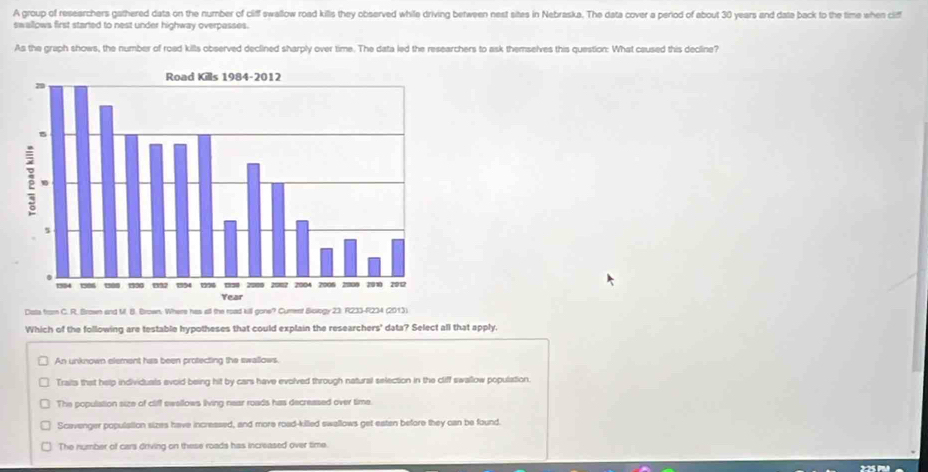 A group of researchers gathered data on the number of cliff swallow road kills they observed while driving between nest sites in Nebraska. The data cover a period of about 30 years and date back to the time when ciff
swallows first started to nest under highway overpasses.
As the graph shows, the number of road kills observed declined sharply over time. The data led the researchers to ask themselves this question: What caused this decline?
Dats from C. R. Brawn and M. B. Brown. Where has all the road kill gone? Curesf Biology 23: R233-R234 (2013)
Which of the following are testable hypotheses that could explain the researchers' data? Select all that apply,
An unknown element has been protecting the swallows.
Traits that help individuals avoid being hit by cars have evolved through natural selection in the cliff swallow population.
The population size of cliff swellows living near roads has decreased over time.
Scavenger population sizes have incressed, and more road-killed swallows get eaten before they can be found.
The number of cars driving on these roads has increased over time.