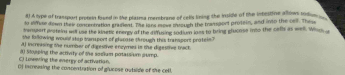 A type of transport protein found in the plasma membrane of cells lining the inside of the intestine allows sodium on
to diffuse down their concentration gradient. The ions move through the transport protein, and into the cell. These
transport proteins will use the kinetic energy of the diffusing sodium ions to bring glucose into the cells as well. Which a
the following would stop transport of glucose through this transport protein?
A) Increasing the number of digestive enzymes in the digestive tract.
B) Stopping the activity of the sodium potassium pump.
C) Lowering the energy of activation.
D) Increasing the concentration of glucose outside of the cell.