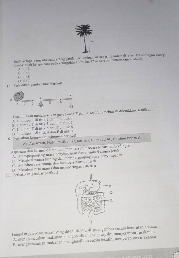 Buah kelapa yang massanya 2 kg jatuh dari ketinggian seperti gambar di atas. Pebandingan energi
kinetik buah kelapa saat pada ketinggian 18 m dan 12 m dari permukaan tanah adalah..
A. 1:2
B. 1:4
C. 1:8
D. 4:1
15. Perhatikan gambar tuas berikut!
Tuas ini akan menghasilkan gaya kuasa F paling kecil bila beban W diletakkan di titik ... .
A. 1, tumpu T di titik 2 dan F di titik 7
B. 2. tumpu T di titik 3 dan F di titik 7
C. 1, tumpu T di titik 5 dan F di titik 6
D. 3, tumpu T di titik 4 dan F di titik 7
16. Perhatkan komposisi minuman berikut!
Air, Aspartam, Natrium siklamat, Karmin, Allura red AC, Natrium benzoat
Aspartam dan karmin dalam minuman tersebut secara berurutan berfungsi...
A. Memperpanjang masa penyimpanan dan memberi aroma jeruk
B. Memberi warna kuning dan memperpanjang masa penyimpanan
C. Memberi rasa manis dan memberi warna merah
D. Memberi rasa manis dan mempertegas cita rasa
17. Perhatikan gambar berikut!
Fungsi organ nencernaan yang ditunjuk P-Q-R pada gambar secara berurutan adalah... .
A. menghancurkan makanan, menghasilkan enzim tripsin, menyerap sari makanan
B. menghancurkan makanan, menghasilkan enzim insulin, menyerap sari makanan