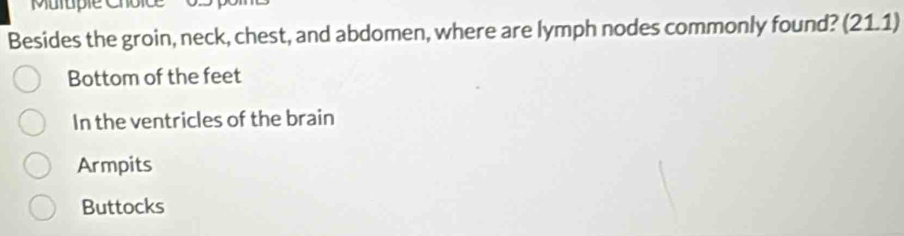 Muruple Chôice
Besides the groin, neck, chest, and abdomen, where are lymph nodes commonly found? (21.1)
Bottom of the feet
In the ventricles of the brain
Armpits
Buttocks