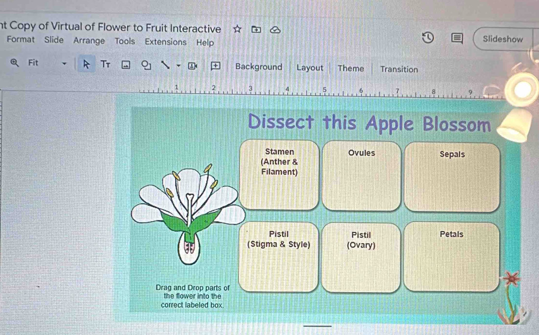 nt Copy of Virtual of Flower to Fruit Interactive 
Format Slide Arrange Tools Extensions Help Slideshow 
Fit Tr Background Layout Theme Transition
1 2 3 4 5 6 7 8
_