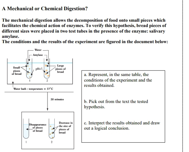 A Mechanical or Chemical Digestion?
The mechanical digestion allows the decomposition of food onto small pieces which
facilitates the chemical action of enzymes. To verify this hypothesis, bread pieces of
different sizes were placed in two test tubes in the presence of the enzyme: salivary
amylase.
The conditions and the results of the experiment are figured in the document below:
a. Represent, in the same table, the
conditions of the experiment and the
results obtained.
Water bath : temperature 
20 minutes b. Pick out from the text the tested
hypothesis.
Disappearance the size of Decrease in c. Interpret the results obtained and draw
of bread of pieces picces of out a logical conclusion.
bread
1 2