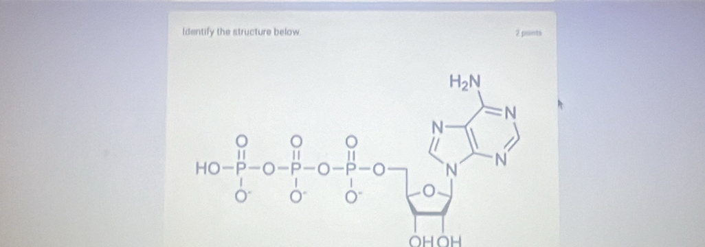 Identify the structure below. 2 points
OHOH